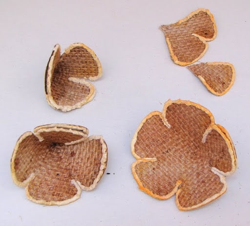 (Foto: kayskreativekorner.blogspot.com.br)