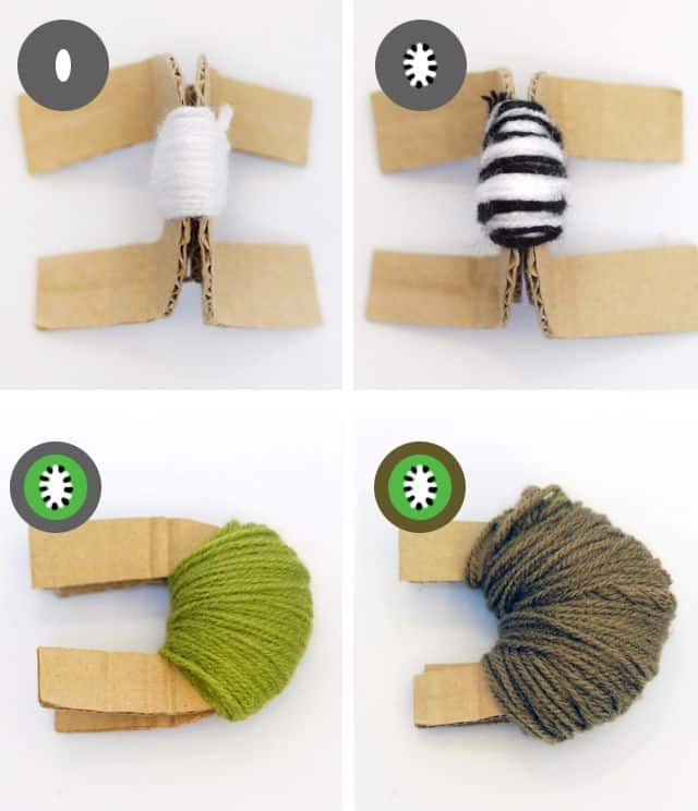 Frutinhas de Pompom