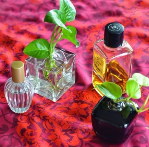 Dicas de Artesanato com Vidros de Perfume Dicas de Artesanato com Vidros de Perfume