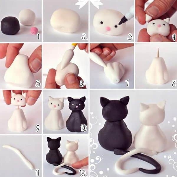 gatos de biscuit gatos de biscuit