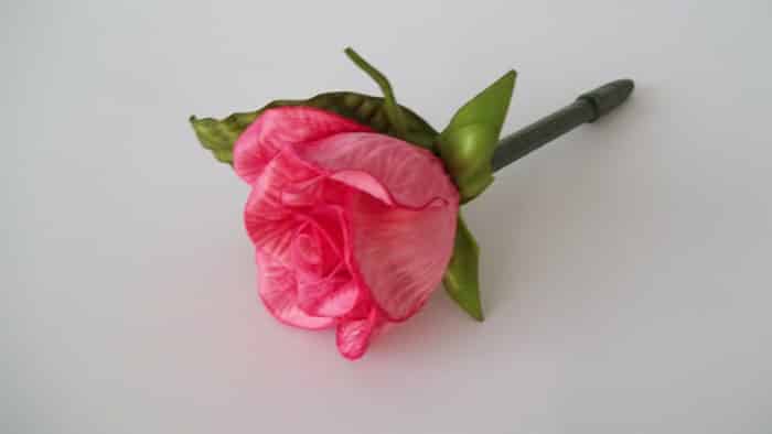 flor de eva rosa flor de eva rosa