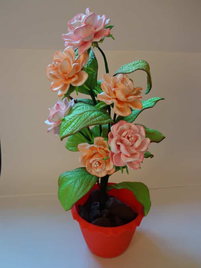 flor de eva no vaso flor de eva no vaso