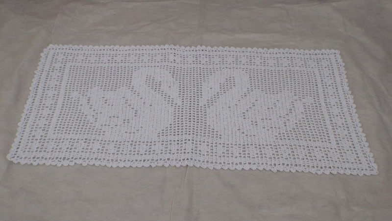 cisne cisne