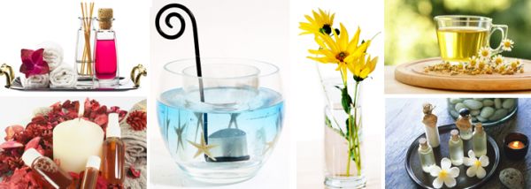 Este aromatizador de ambiente caseiro deixará sua casa muito mais charmosa e perfumada (Foto: Divulgação)