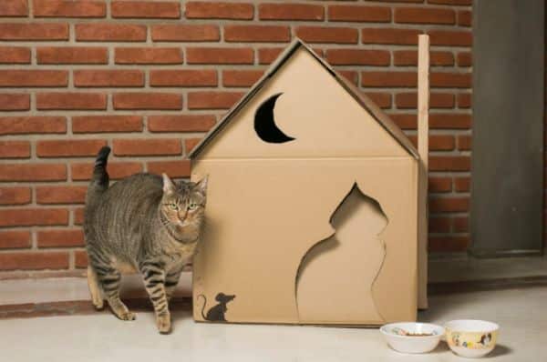 Esta casinha para o gato vai deixar os dias de seu felino muito mais confortáveis e a sua casa muito mais bonita, pois esta é também uma bela peça de decoração (Foto: mulher.uol.com.br)