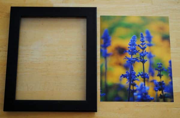 (Foto: gardenmama.typepad.com)