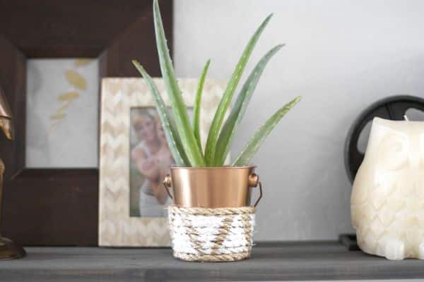 Decoração com minibalde é delicada, linda e barata (Foto: kristimurphy.com)