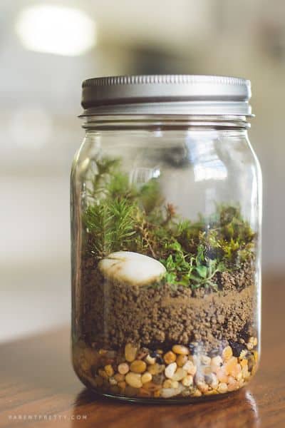 Terrário em pote de vidro é diferente, mas lindo (Foto: parentpretty.com)