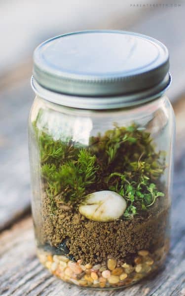 (Foto: parentpretty.com)