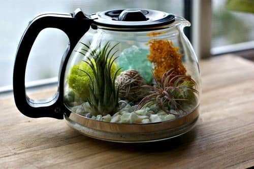 Terrário de suculentas é lindo e delicado (Foto: acharmingproject.com)