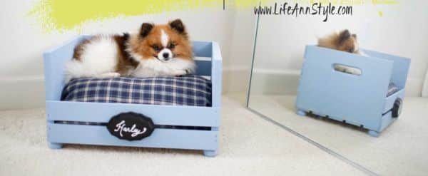 (Foto: lifeannstyle.com)