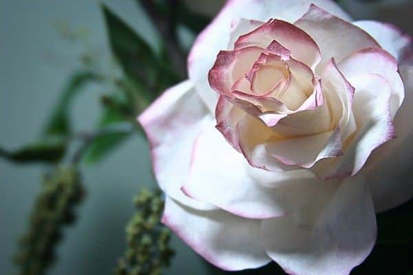 (Foto: fabartdiy.com)