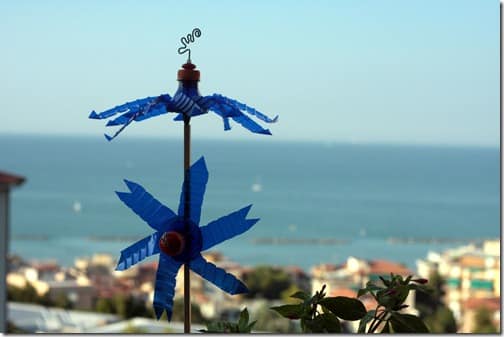 (Foto: rosijofarecon.blogspot.com.br)
