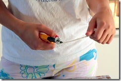 (Foto: rosijofarecon.blogspot.com.br)