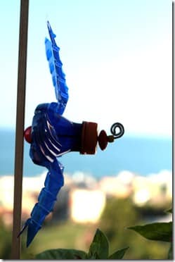 (Foto: rosijofarecon.blogspot.com.br)