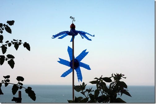 (Foto: rosijofarecon.blogspot.com.br)