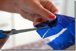 (Foto: rosijofarecon.blogspot.com.br)