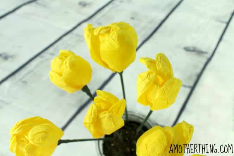 Dicas para Fazer Flores de Papel Crepom Dicas para Fazer Flores de Papel Crepom