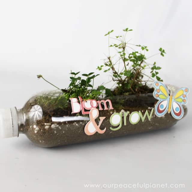 Passo a Passo de Vasos de Plantas com Garrafa Pet Passo a Passo de Vasos de Plantas com Garrafa Pet
