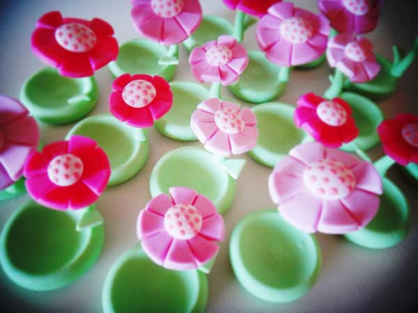 Opções de Biscuit de Flor Opções de Biscuit de Flor