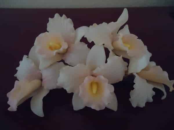 Flor Flor