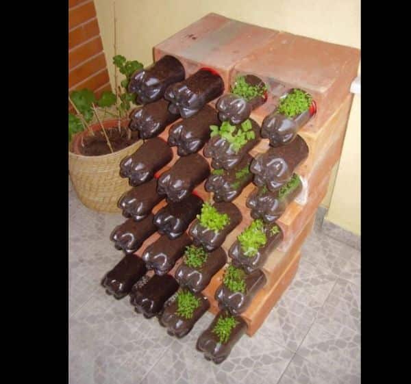 horta com garrafa pet e bloco horta com garrafa pet e bloco