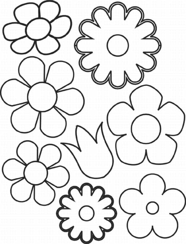 molde de flor variada molde de flor variada