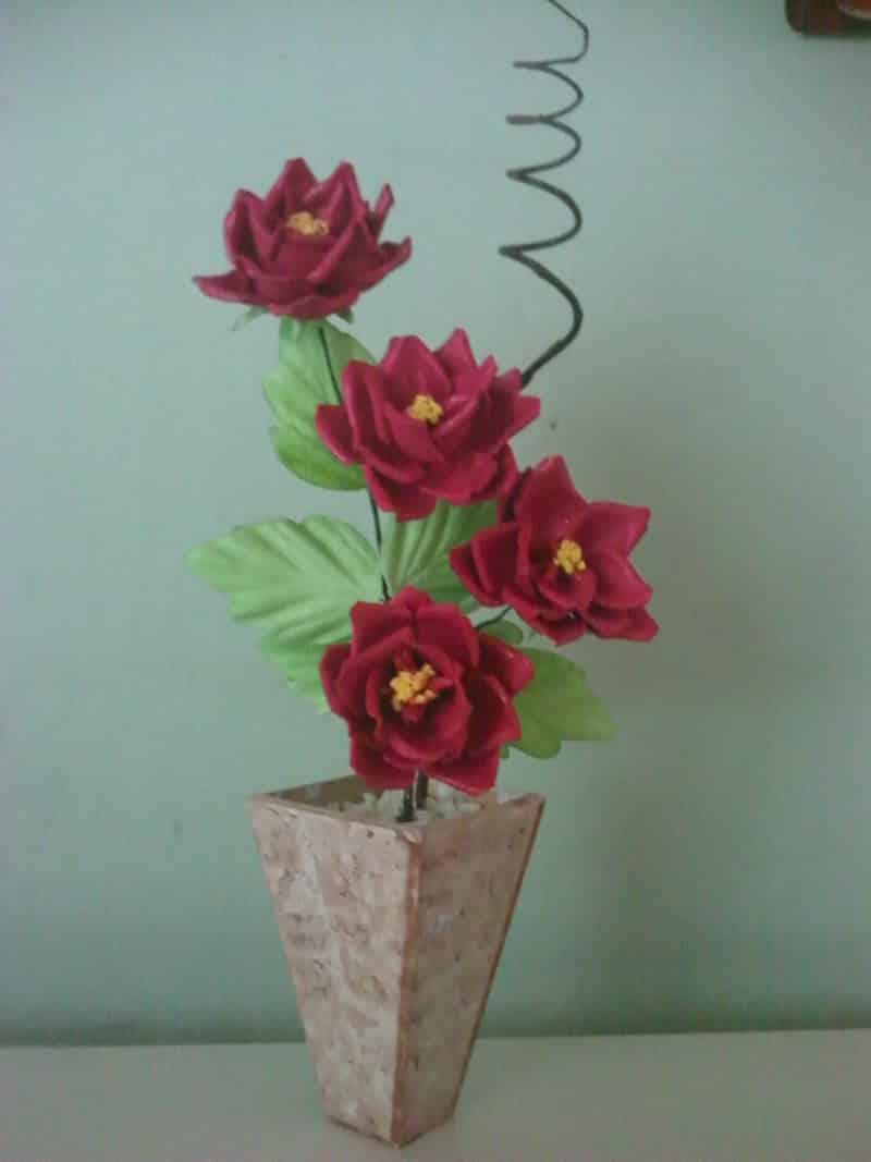 flor de eva no vaso flor de eva no vaso