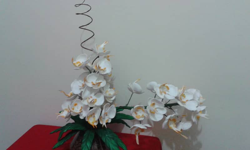 flor de eva como fazer flor de eva como fazer