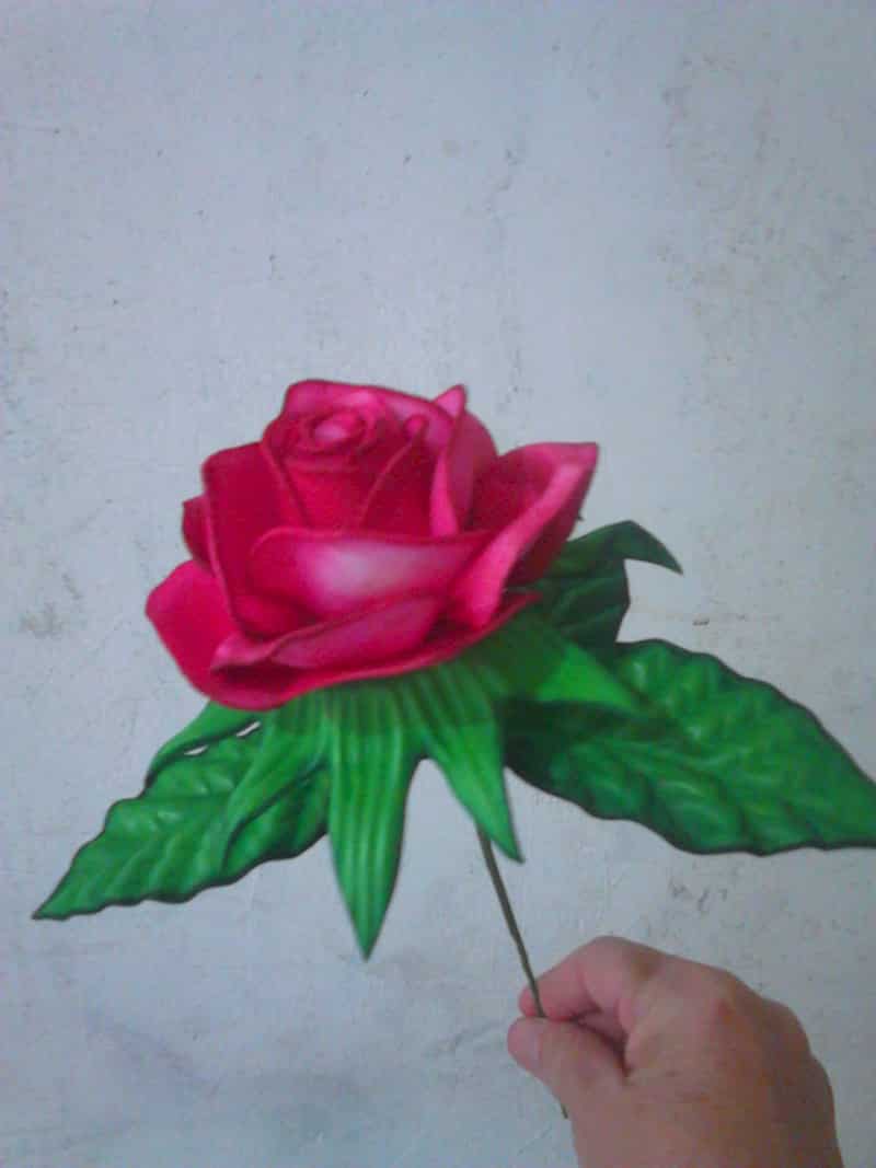 rosa de eva rosa de eva