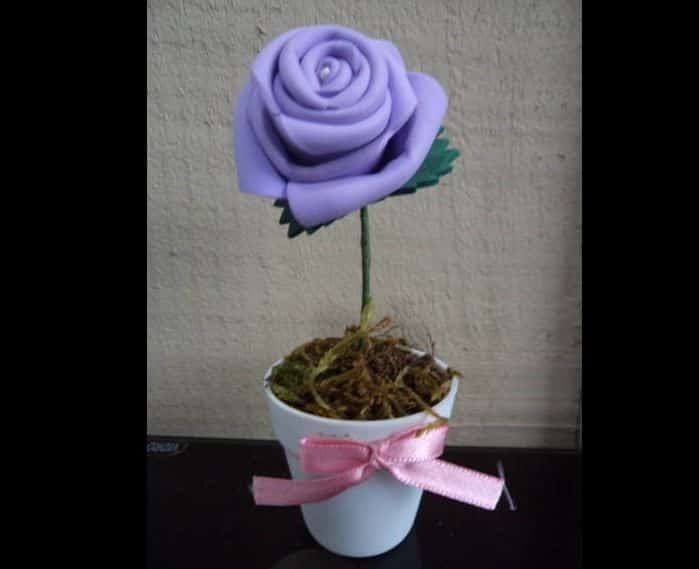 flor de eva roxa flor de eva roxa