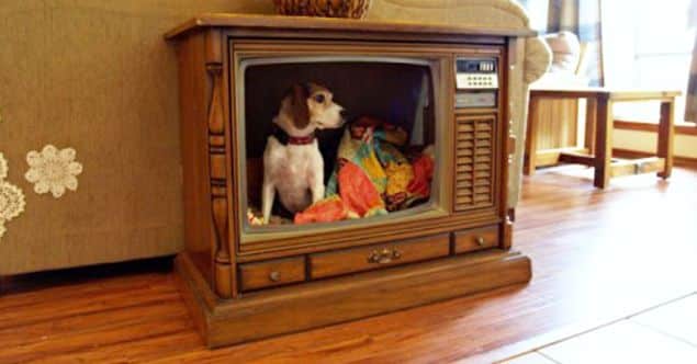 tv tv