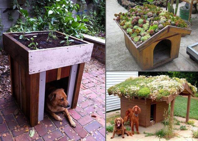 sustentabilidade sustentabilidade
