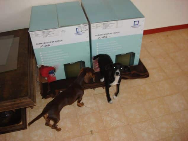 papelão papelão