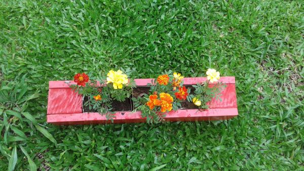 jardim jardim