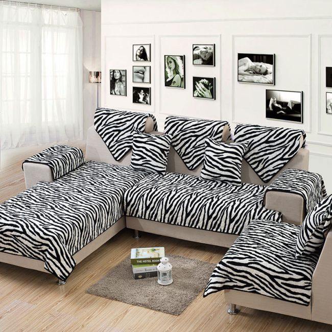 zebra zebra