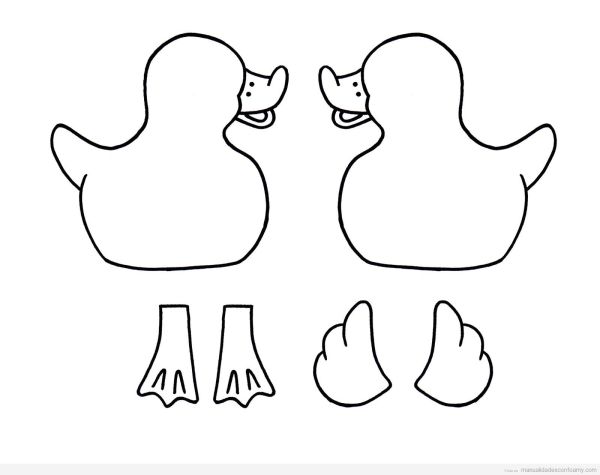patos patos