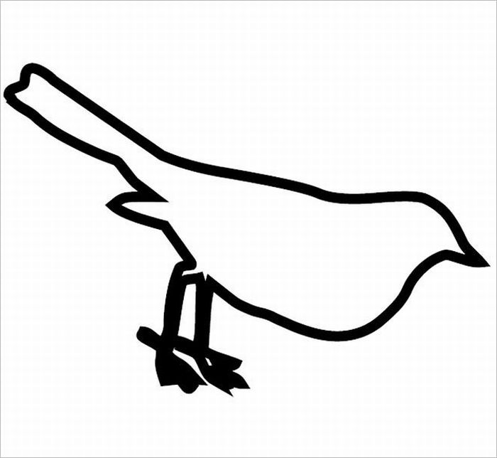 patas patas