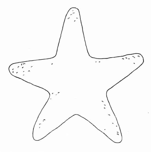molde estrela do mar