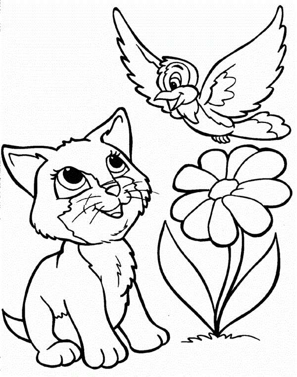 gato com flores e passaros para pintar
