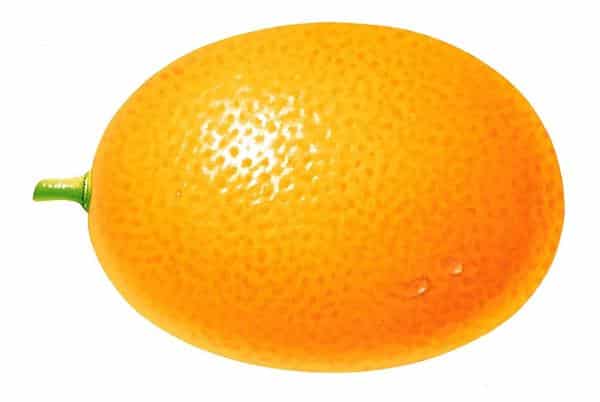 molde de laranja