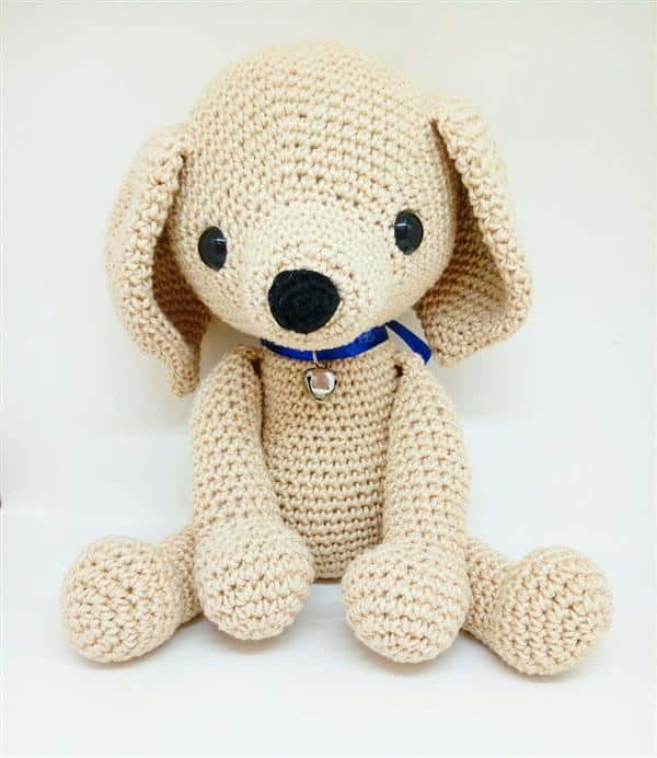 cachorro