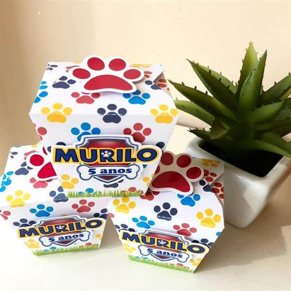 festa patrulha canina