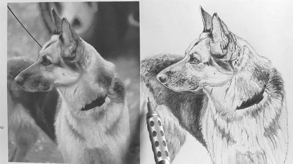 como fazer desenhos