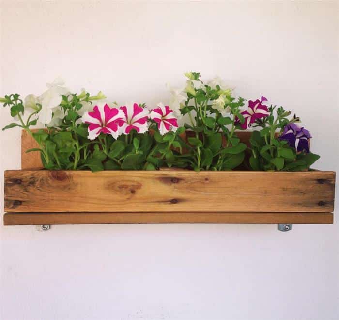 prateleira de paletes para plantas