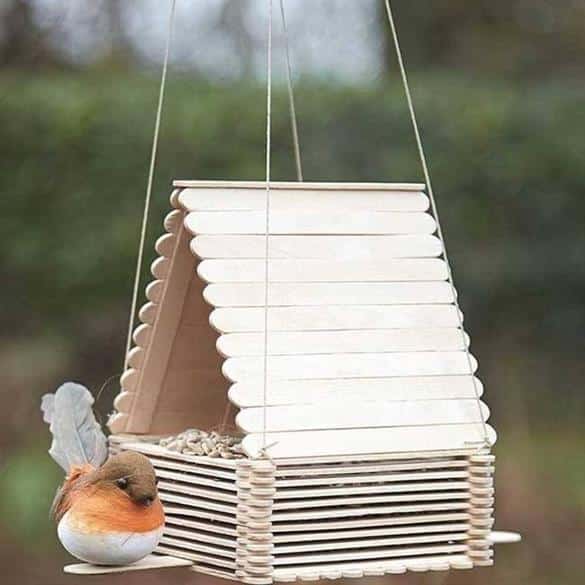 casinha e comedouro com palito