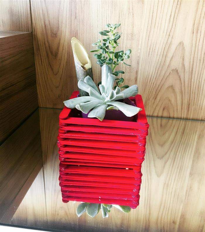 suporte de plantas com palito