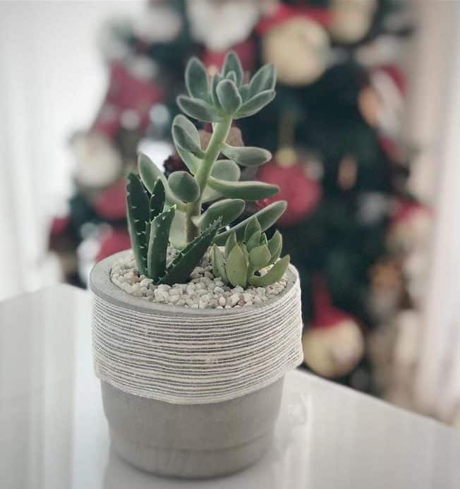 vaso com fita rustica
