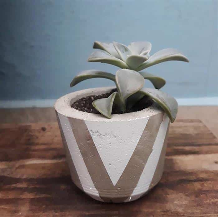 vaso de cimento leve