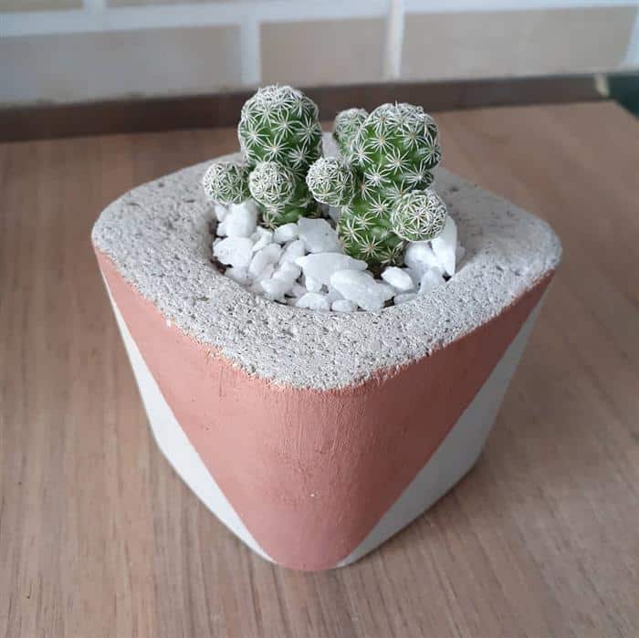 vaso de cimento pequeno para cactos